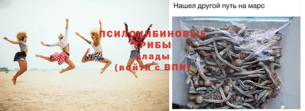 PSILOCYBIN Каменка