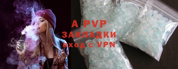 стафф Касимов