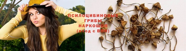крисы Каменск-Шахтинский