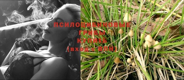 крисы Каменск-Шахтинский
