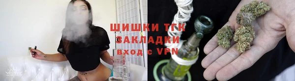 PSILOCYBIN Каменка
