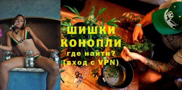 PSILOCYBIN Каменка