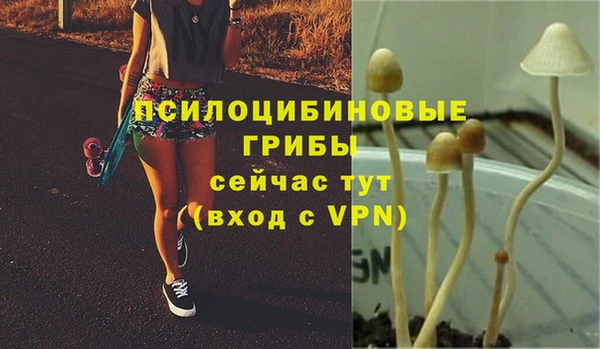 крисы Каменск-Шахтинский