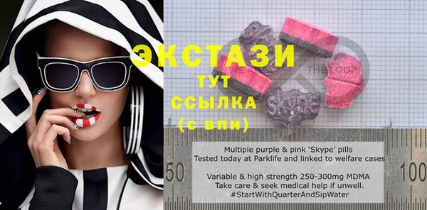 PSILOCYBIN Каменка