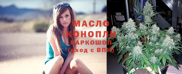 PSILOCYBIN Каменка