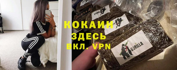 PSILOCYBIN Каменка