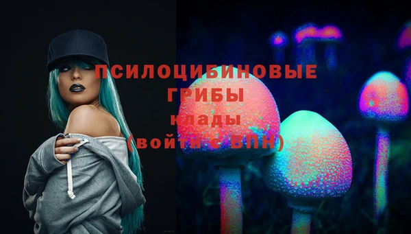ALPHA-PVP Каменногорск