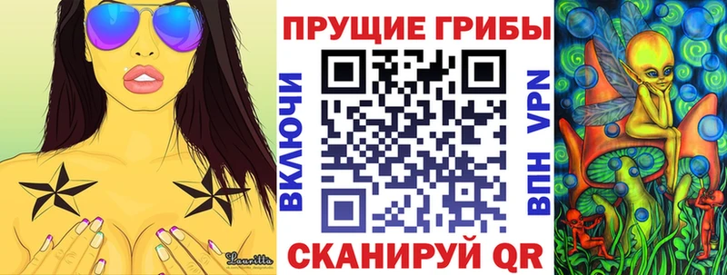 Купить закладки  Заволжье  Галлюциногенные грибы Psilocybine cubensis 