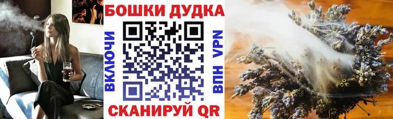Купить Заволжье Канабис семена